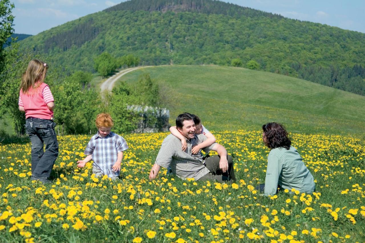 Zum Hohen Eimberg Willingen (Upland)